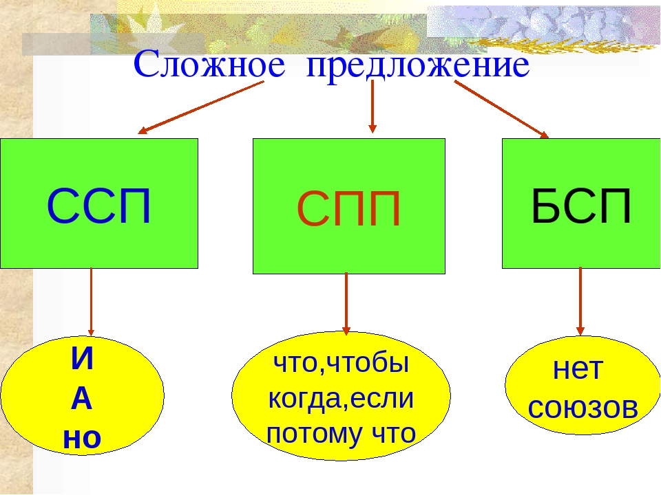 Спп и ссп в русском языке: определение и способы определения