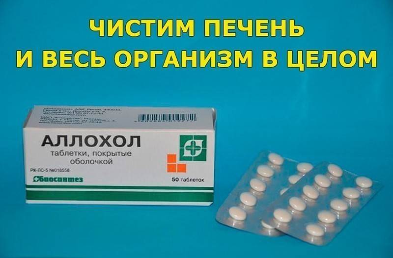 Что лучше принимать: аллохол или хофитол?