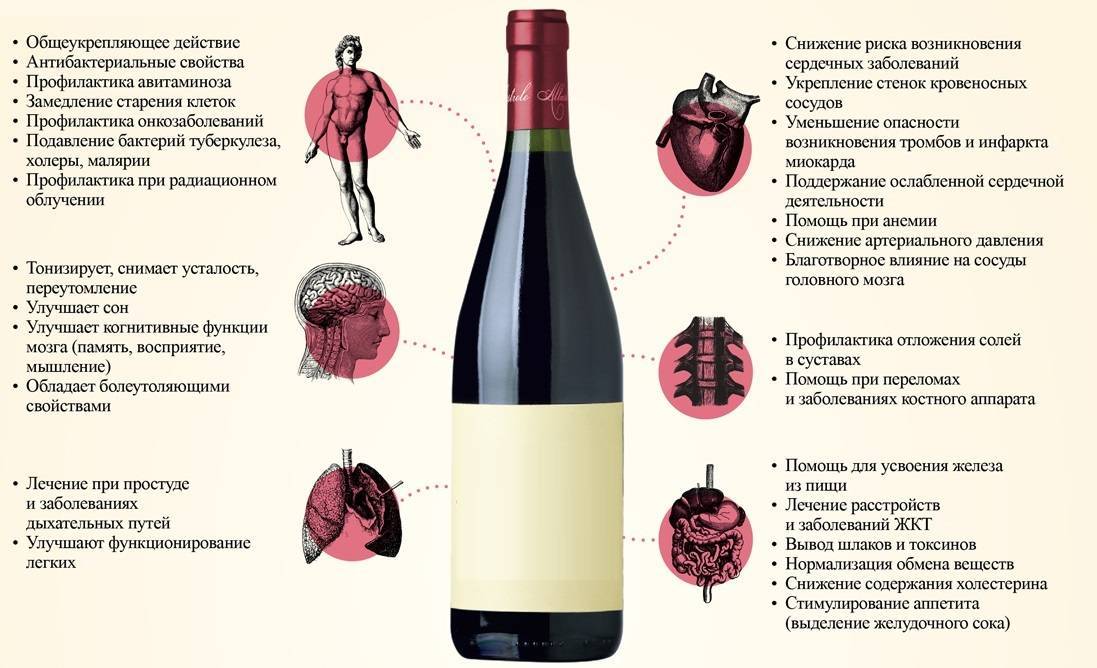 Винный напиток и вино – в чем разница, отличия [2018] в производстве ?, составе и вкусе | suhoy.guru