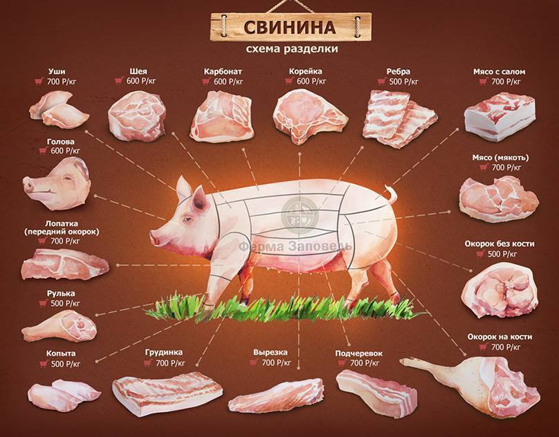 Как выбрать свинину