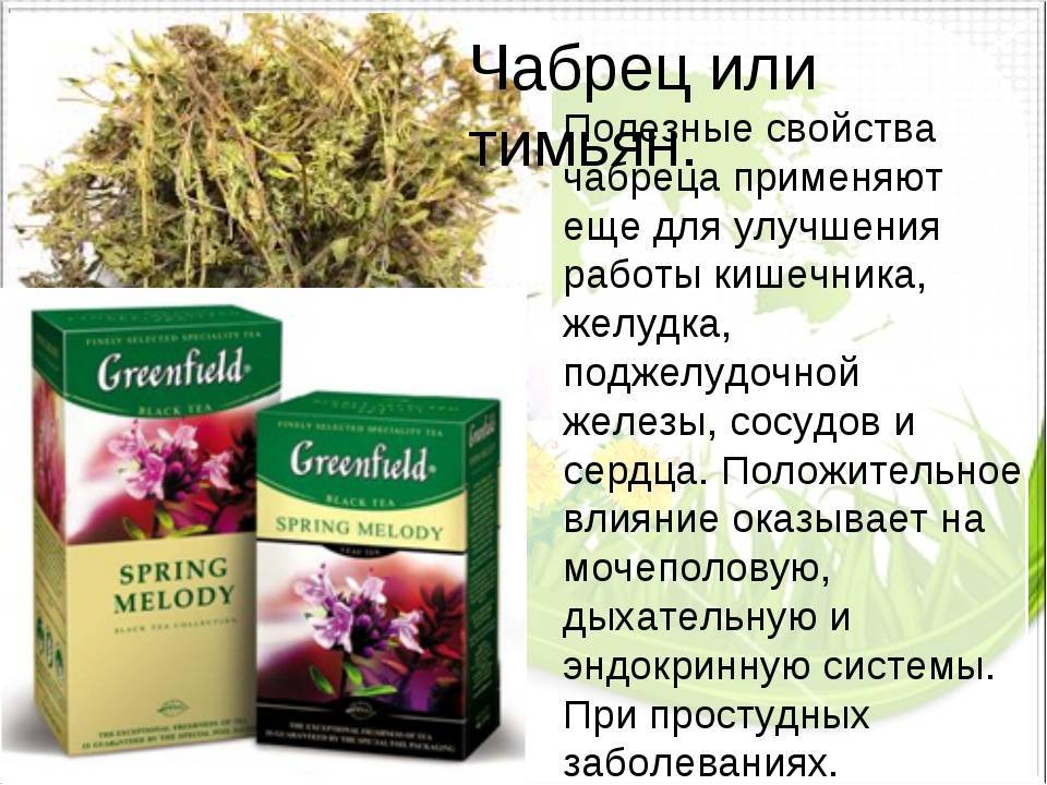 Тимьян, чабрец,  богородская трава, чабер, чабор …