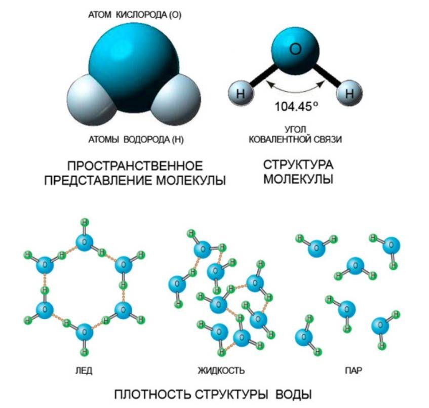 Какое строение имеет молекула воды