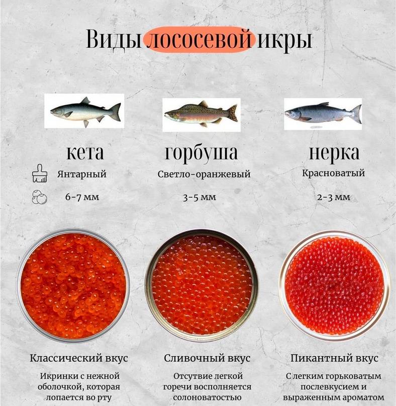 Что лучше – кета или горбуша? как выбрать рыбу. что лучше горбуша или семга что