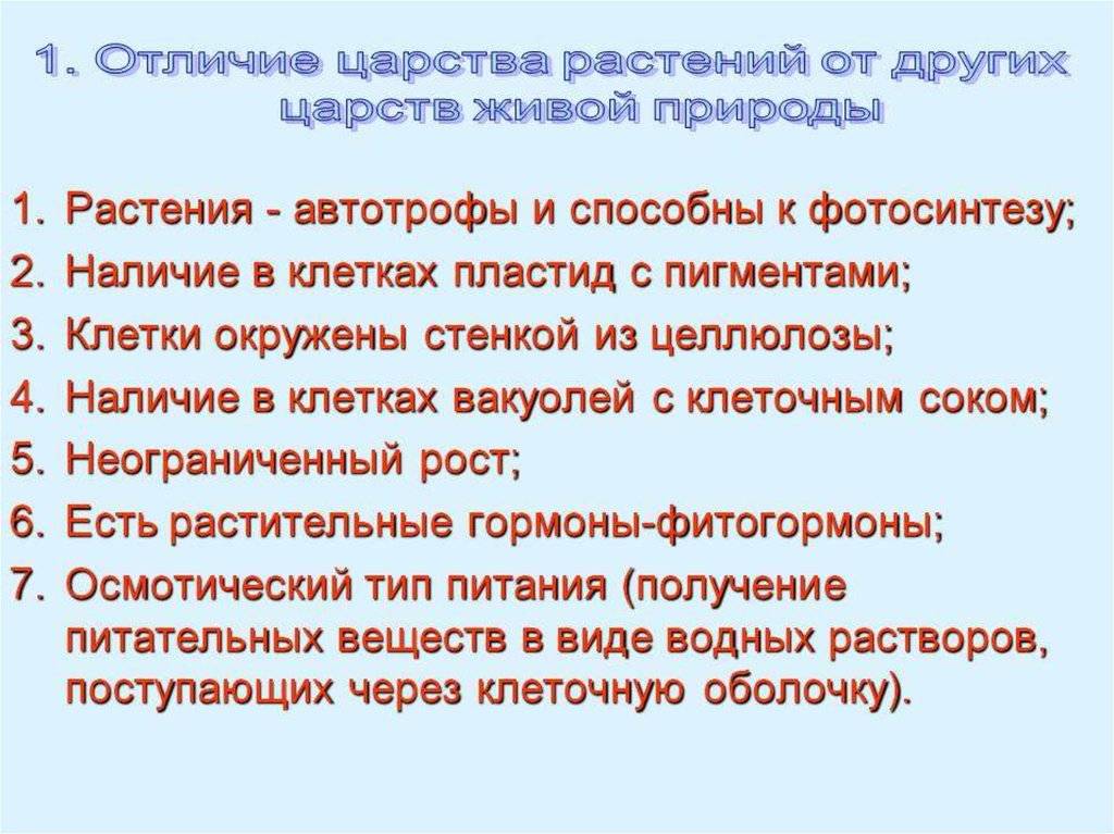 Чем животные отличаются от растений кратко