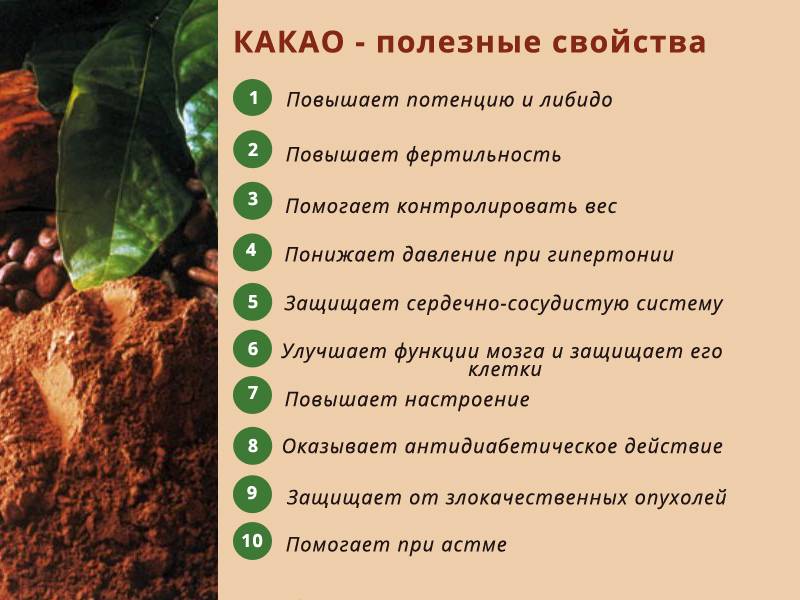 Что лучше кофе или какао, польза и противопоказания статья