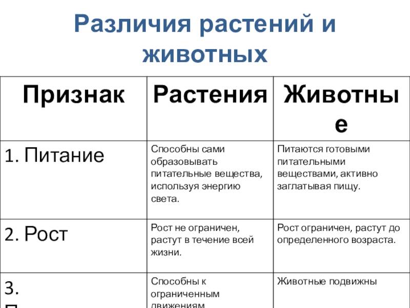 Сходства и различия в строении растительной и животной клетки