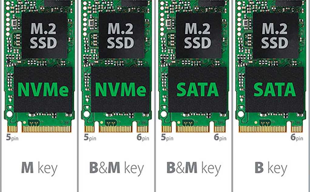 Какой тип хранения данных лучше выбрать - ssd или ssd m.2? 2024