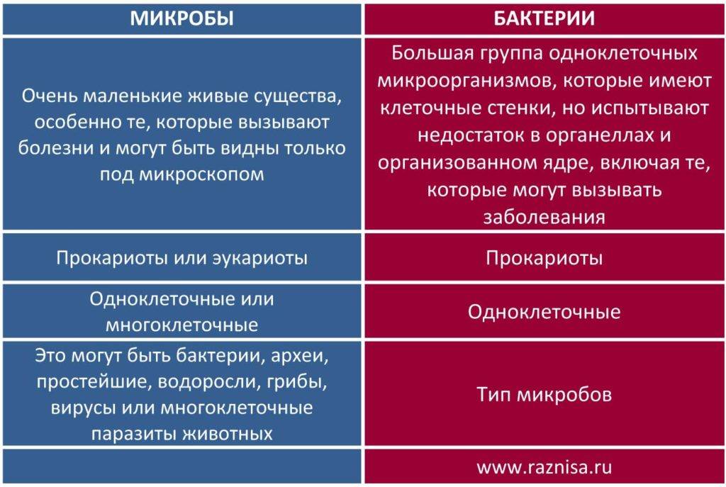 Ультрабонд для ногтей: особенности нанесения и отличия от праймера | салон красоты в жулебино - парикмахерская seda