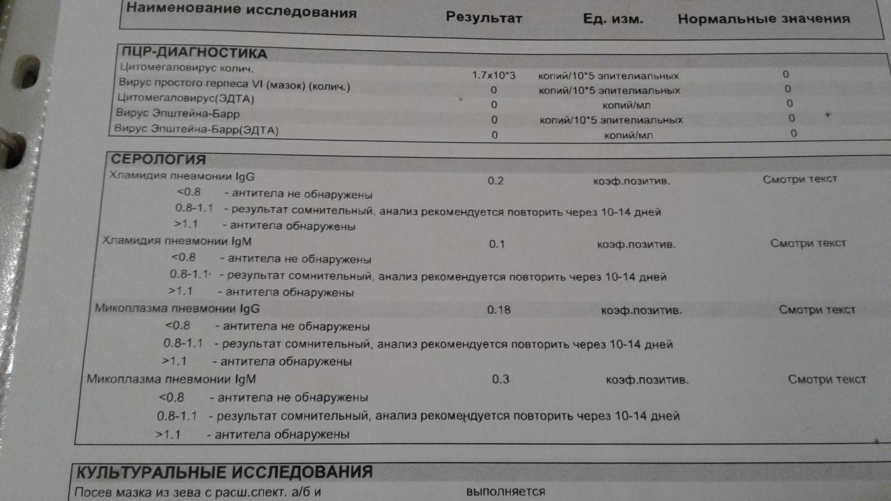 Что точнее: пцр-тест или экспресс-тест на коронавирус? | всё о коронавирусе | здоровье | аиф аргументы и факты в беларуси