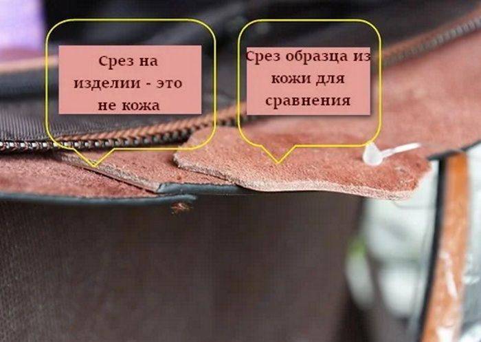 Как отличить натуральную кожу от искусственной: тесты и характеристики