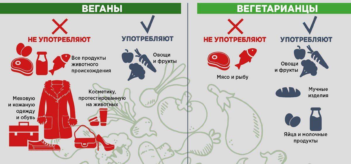 В чем отличия между веганами и вегетарианцами – краткое сравнение