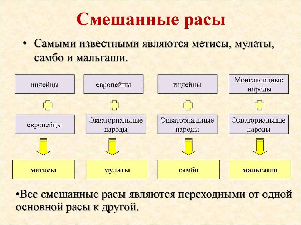 Метисы, мулаты и креолы: в чем разница?