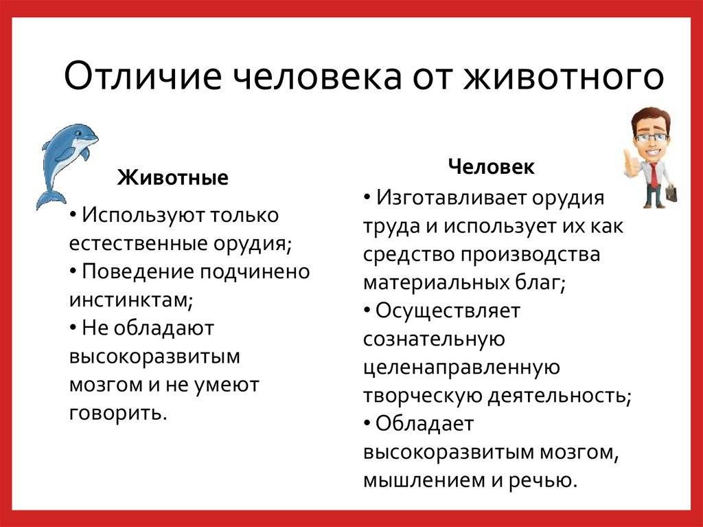 Отличие человека от животного подробно с примерами. чем отличается человек от животного