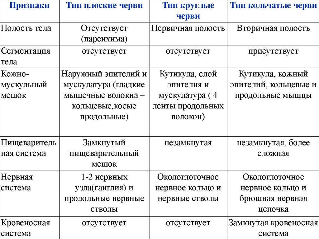 Плоские черви. круглые черви. кольчатые черви