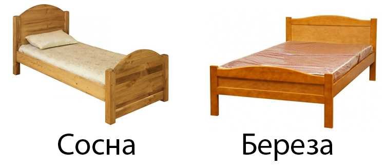 Что лучше выбрать кровать из сосны или березы: сравнение и отличия | в чем разница