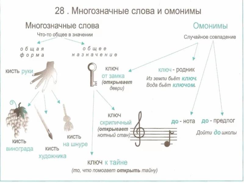 Примеры многозначных слов для 2 класса: отличия многозначности и омонимов в русском языке