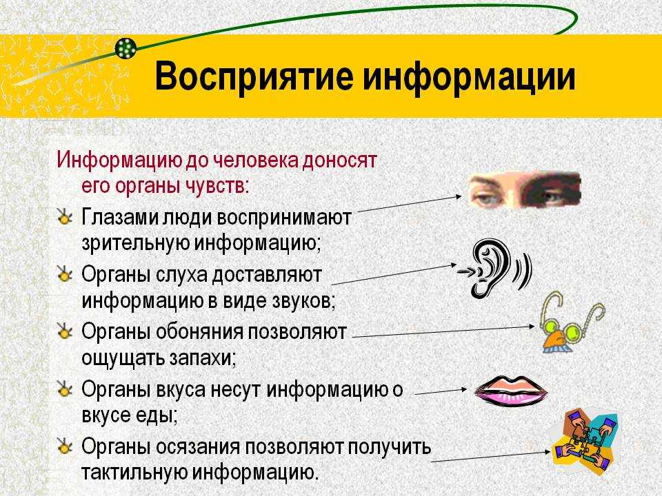 Аудиал, визуал, кинестетик: особенности каждого из типов восприятия информации