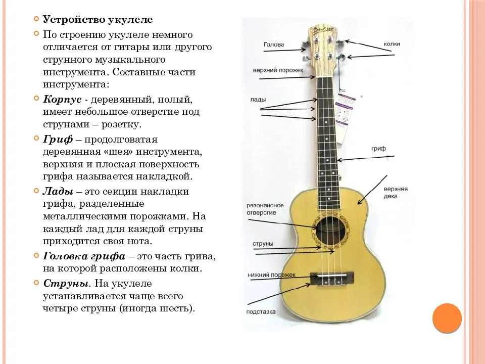 В чем разница между гитарой и укулеле - creativegurumind.ru