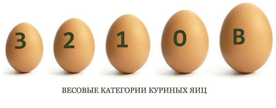 Что означает маркировка на яйцах: с1, с2, с0