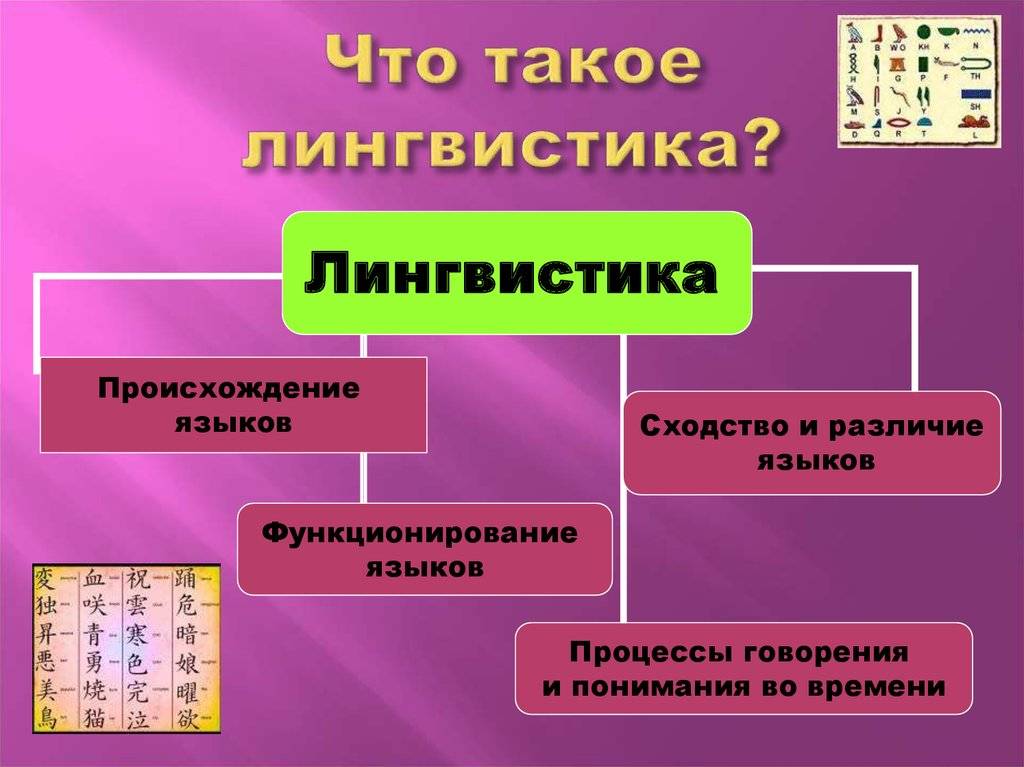 Лингвистика и филология отличия. разница между лингвистом и филологом