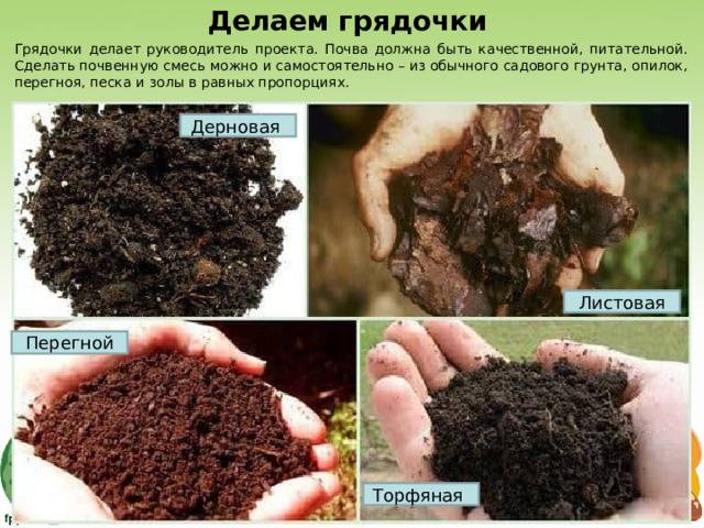 Что лучше торф или грунт? - интернет-журнал "дом и быт"