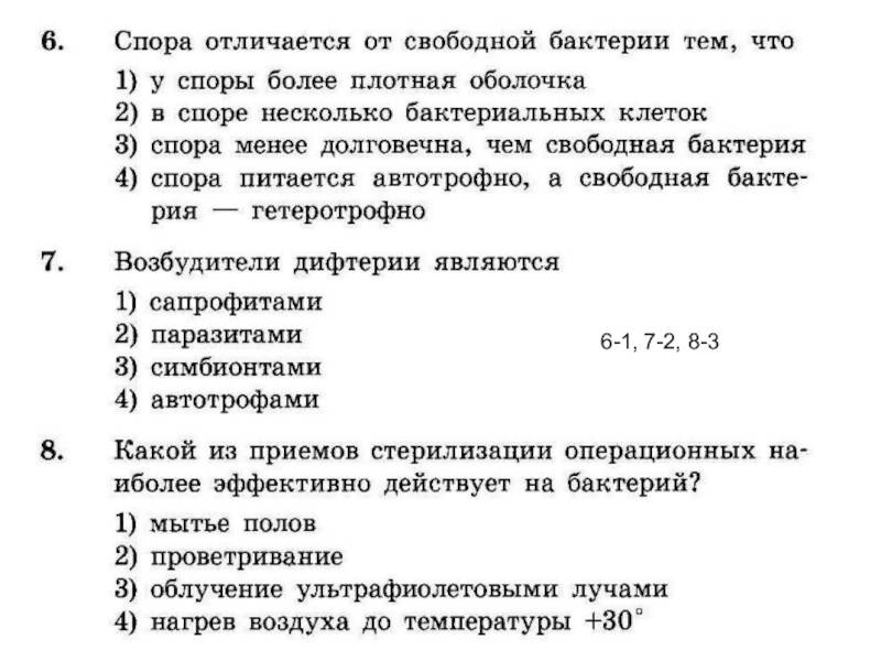Чем спора отличается от свободной бактерии? | в чем разница