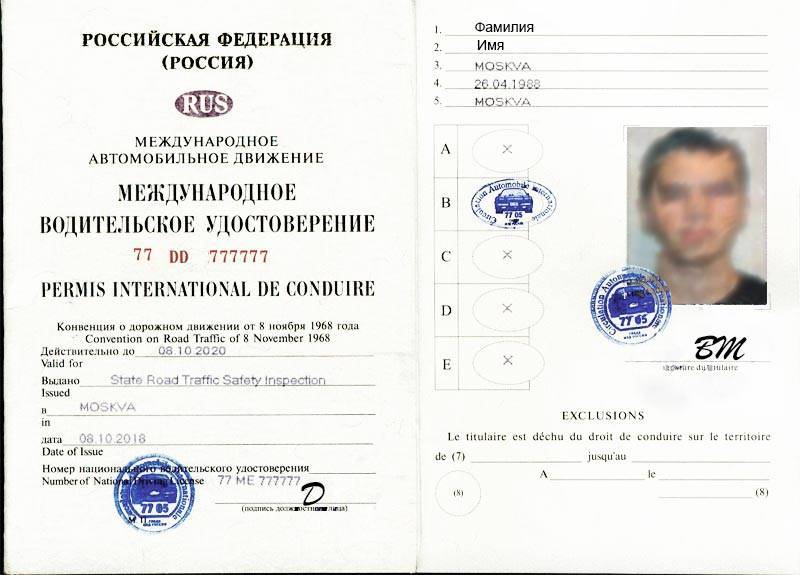 Чем отличаются международные права от российских: есть ли разница в образцах