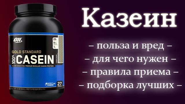 Сыворотка или казеин: что выбрать для роста мышц?