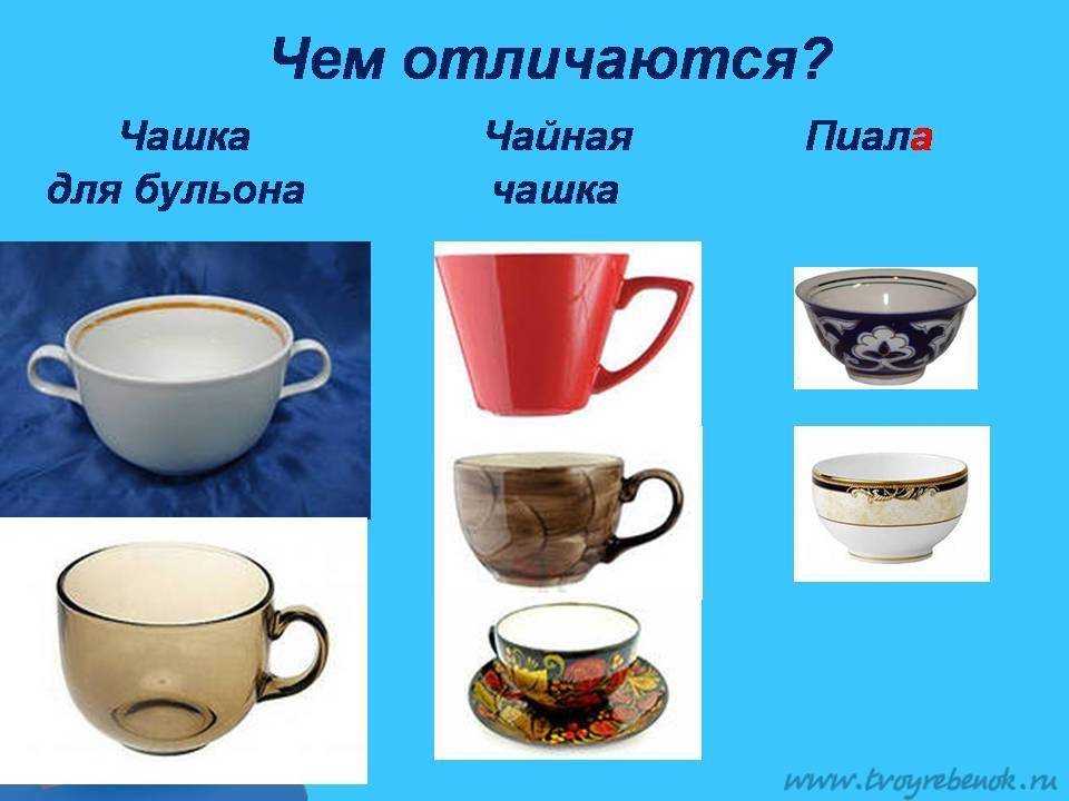 В чём разница между чашкой и кружкой: что общего у посуды, в чём отличие чашки от кружки