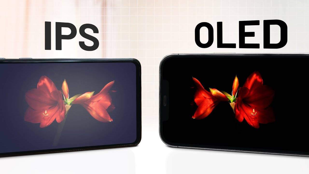 Oled или ips – что выбрать?