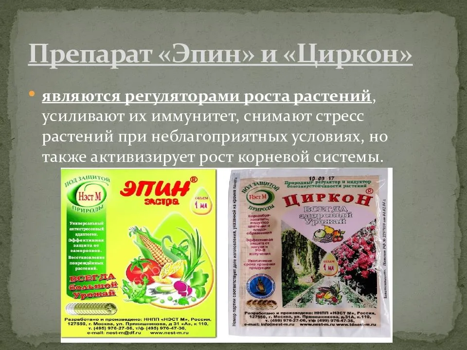 Эпин и циркон: разница и применение · мой огород