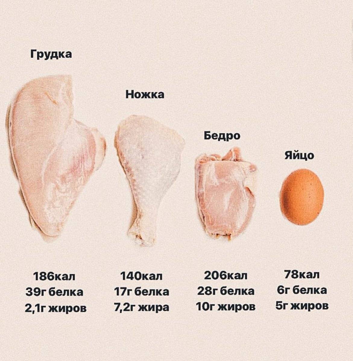 Топ-20 пп-рецептов из куриной грудки для худеющих