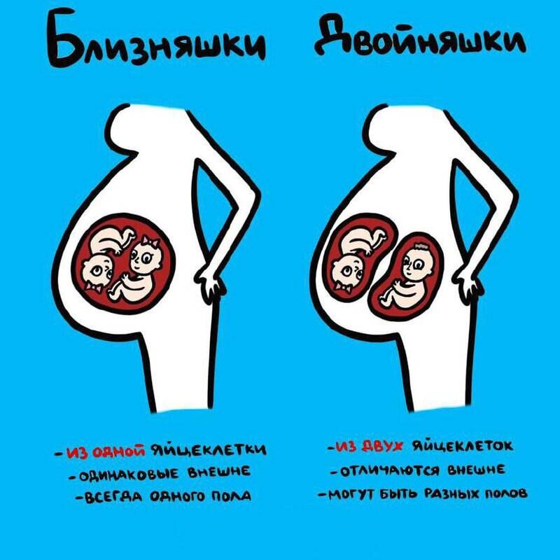От коллективизма к индивидуализму: как наука изучает близнецов и двойняшек — нож