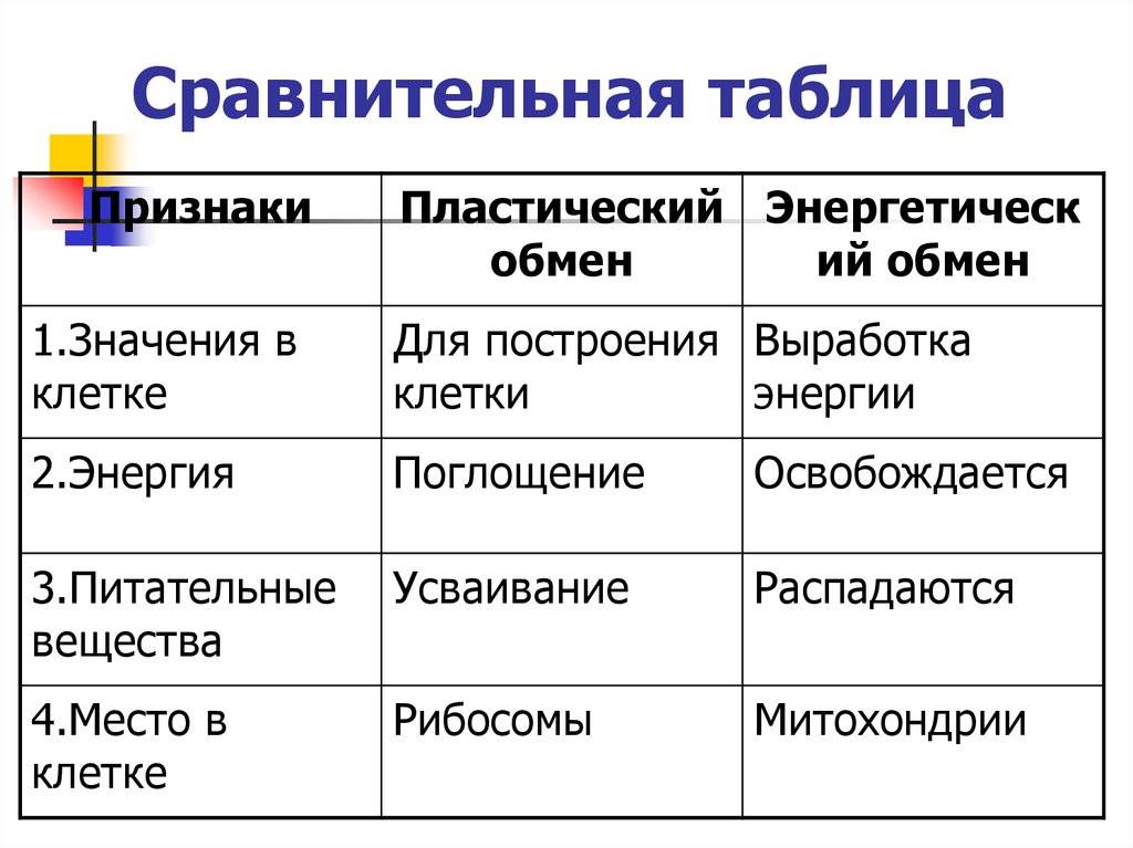 Энергетический обмен в клетке 10 класс онлайн-подготовка на ростелеком лицей | тренажеры и разбор заданий