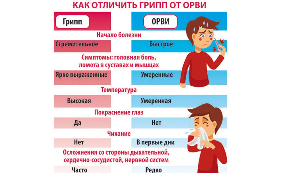 Грипп и орви: их нельзя перепутать!
