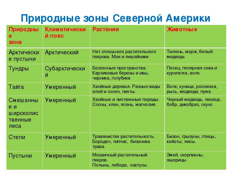 Чем отличается погода от климата: определение и объяснение