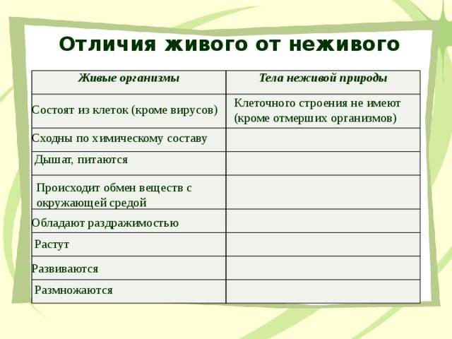 Чем живая природа отличается от неживой — основные признаки