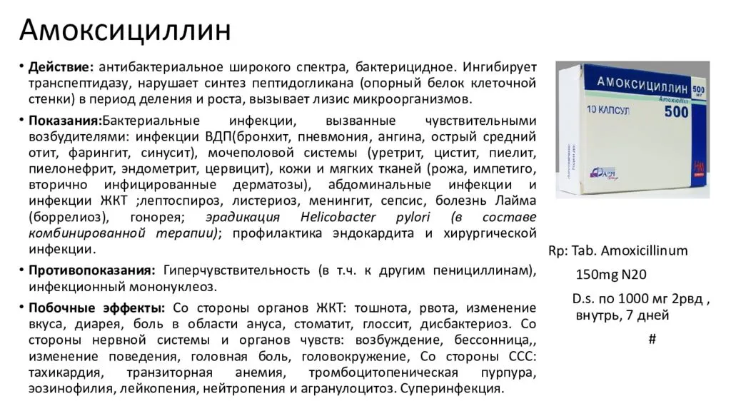 Амоксиклав и амоксициллин – что это такое и отличия - премудрости