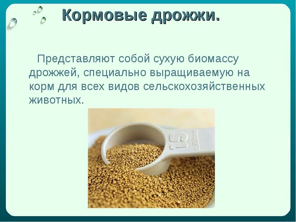 Чем отличается разрыхлитель от дрожжей?