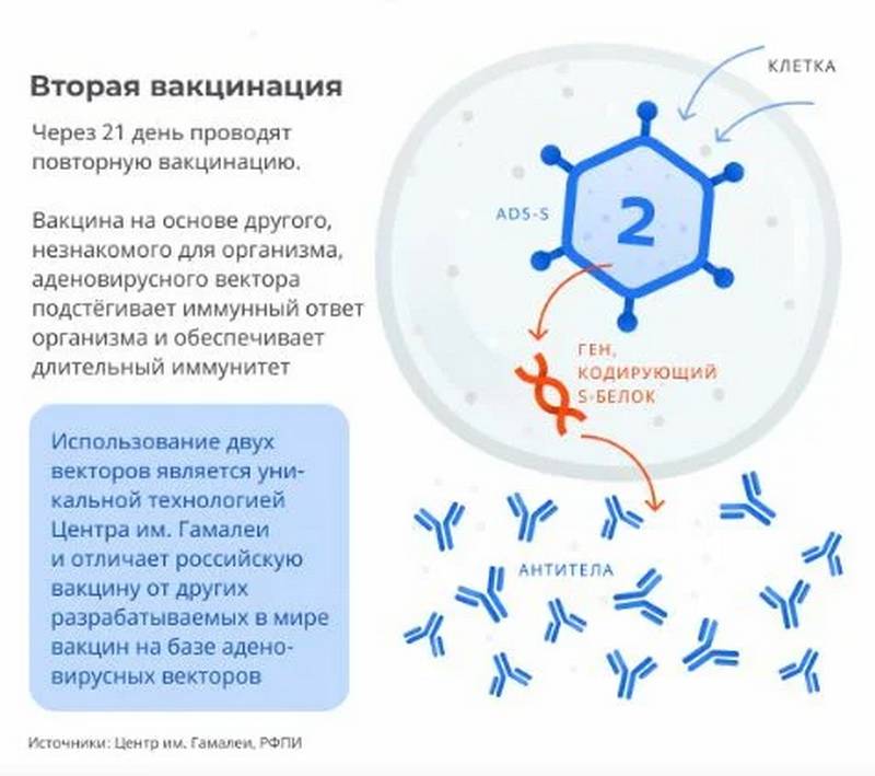 Что такое mrna (мрнк) вакцина от коронавируса и как она работает?