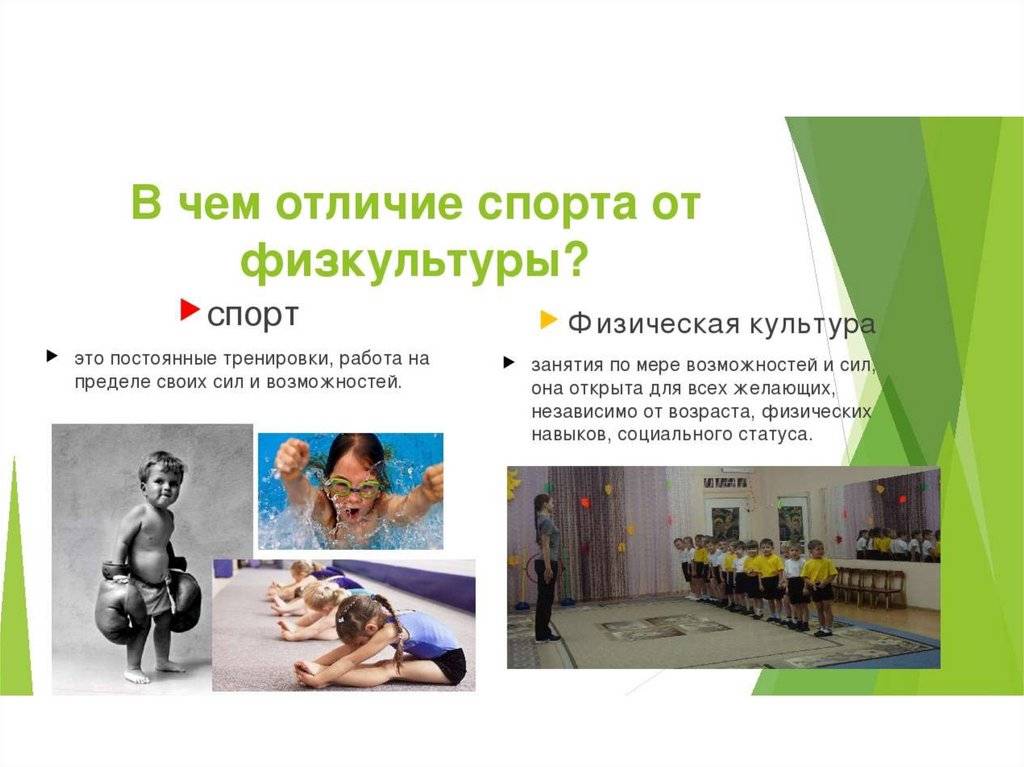 Чем спорт отличается от физической культуры: в чем разница, сравнение