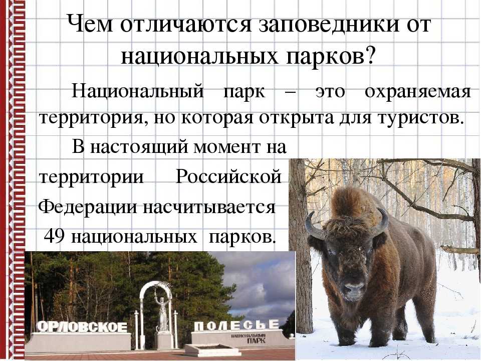 Чем отличается заповедник от заказника: описание и отличия