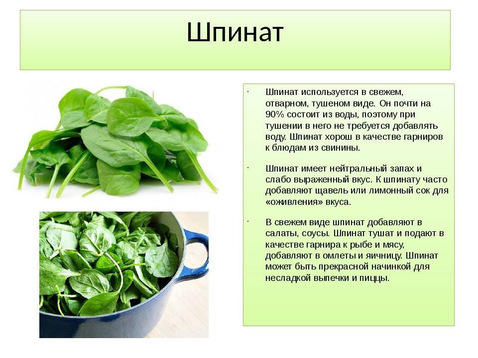 12 заменителей пастернака: лучшие альтернативы в рецепте
