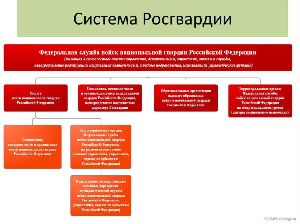 Чем росгвардия отличается от полиции?