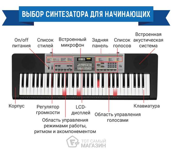 В чем разница между синтезатором и цифровым пианино? - ответы на вопросы