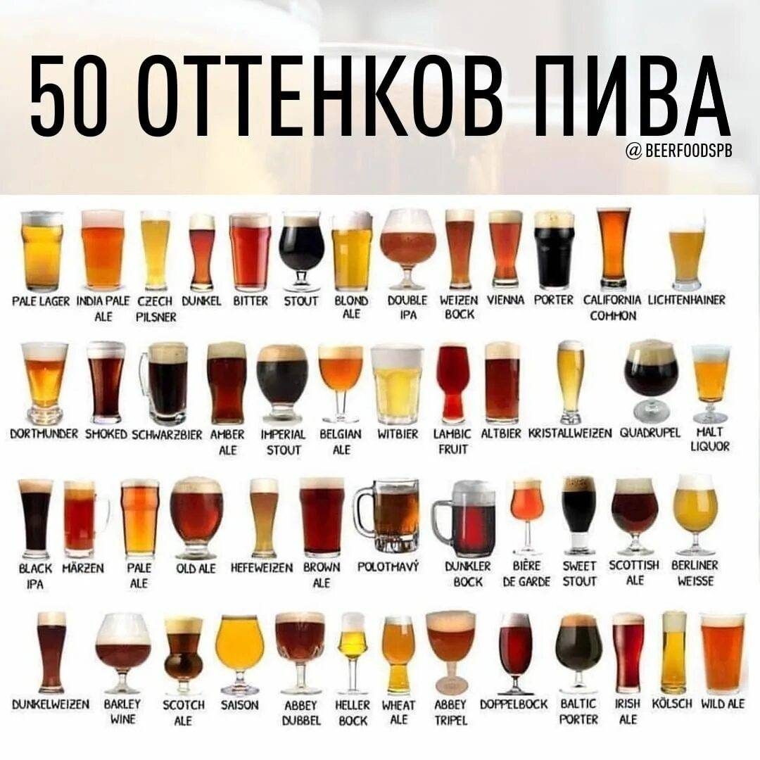 Пиво и пивной напиток