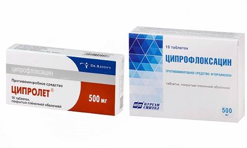 Ципровет для кошек: когда назначается, инструкция по применению, побочные действия