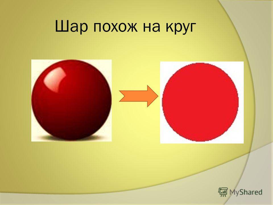 Круг и шар – чем отличается круг от шара?