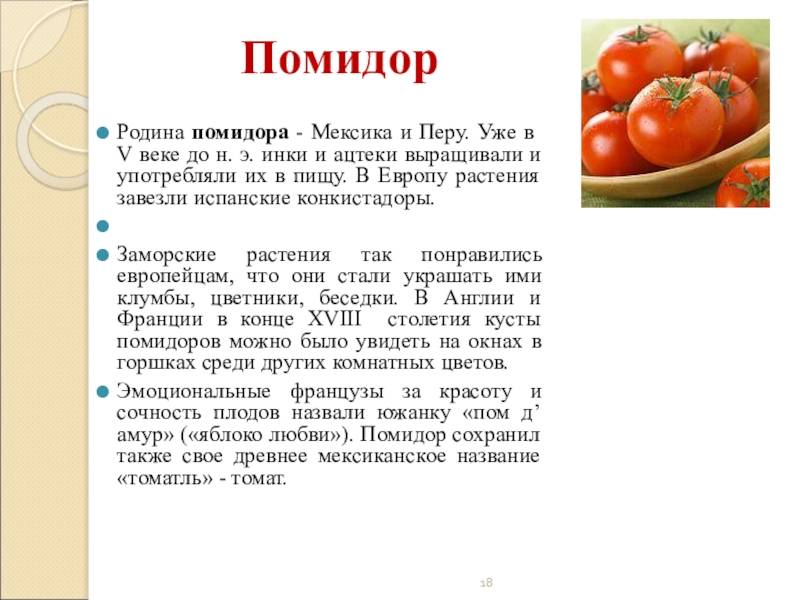 Томаты или помидоры? чем они отличаются и как правильно называть этот овощ?