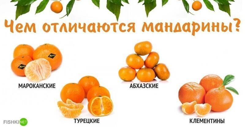Клементины и мандарины - разница